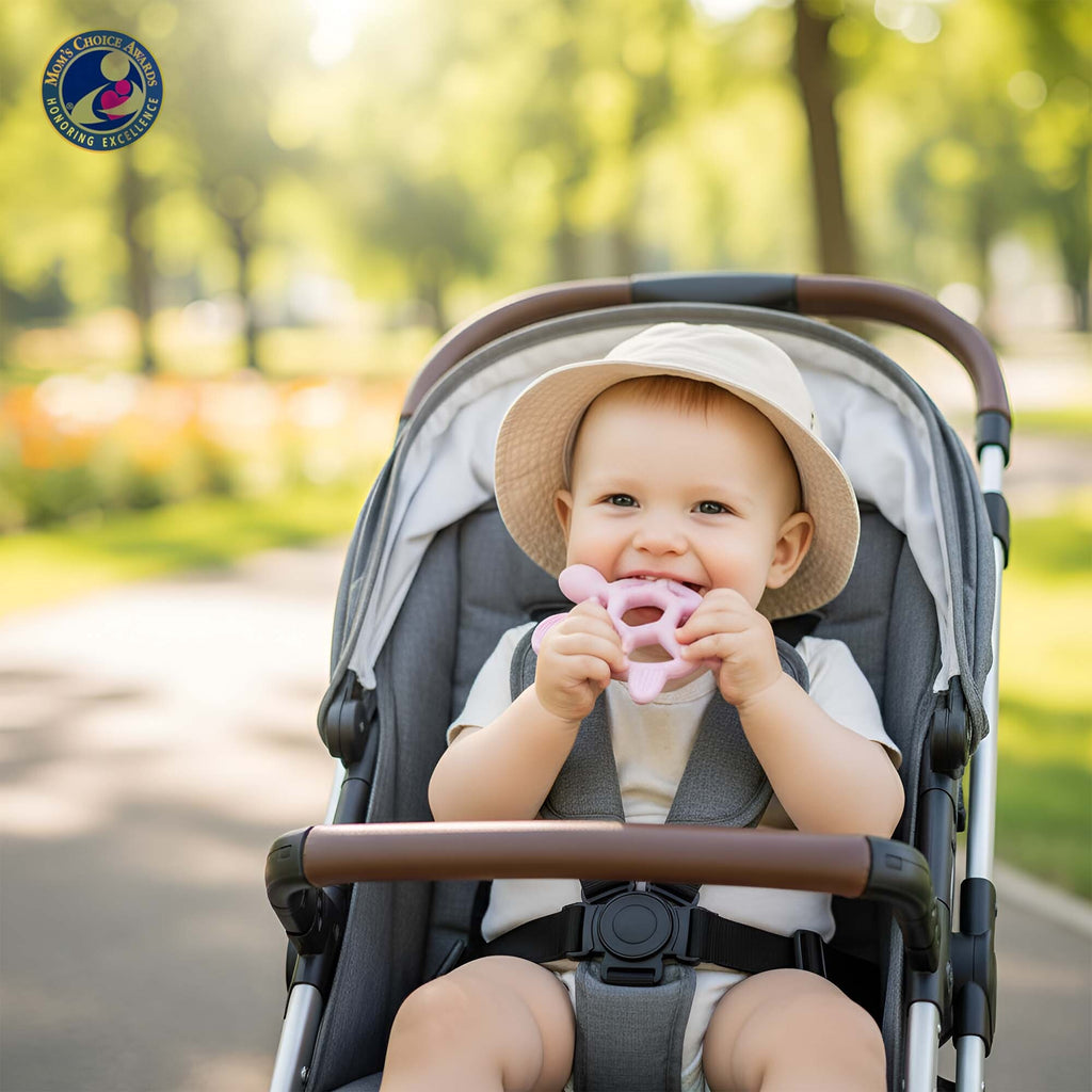 Silicone Baby Teething Toy Soft BPA Free Turtle Shape Chew Toy, Multiple Textured Massage Points for Baby Gums Dishwasher Safe Teethers for Babies (Blue)